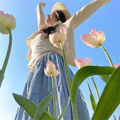 萌犬偷渡记