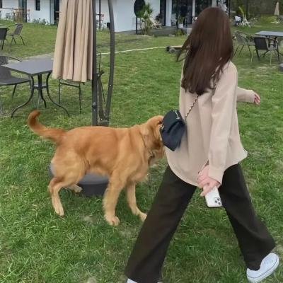 情枭的黎明前传